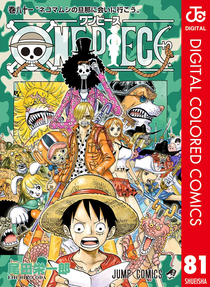 One Piece - Digital Colored Comics - Chapter 807 - Read Free